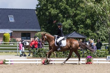 Bild 421 - Pony Akademie Turnier